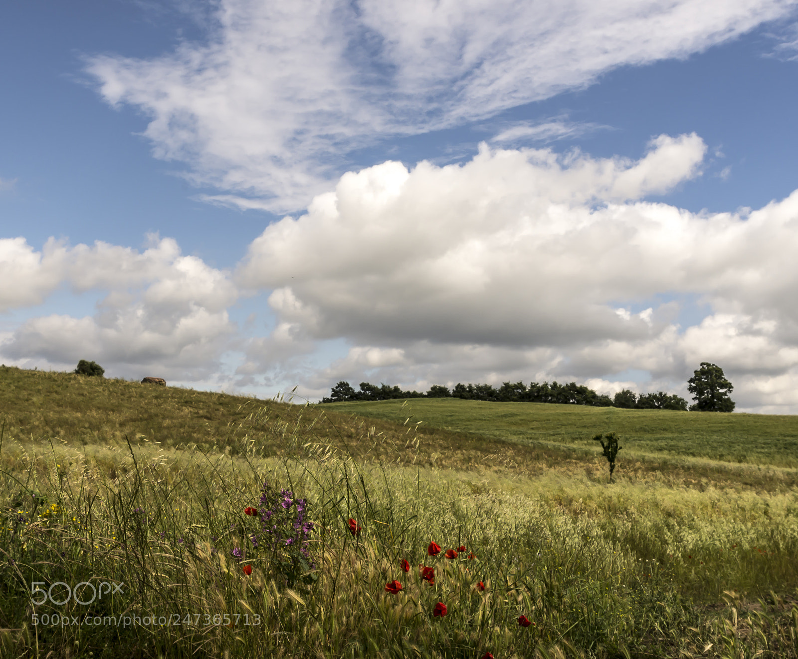 Pentax K-5 sample photo. When sky is the photography
