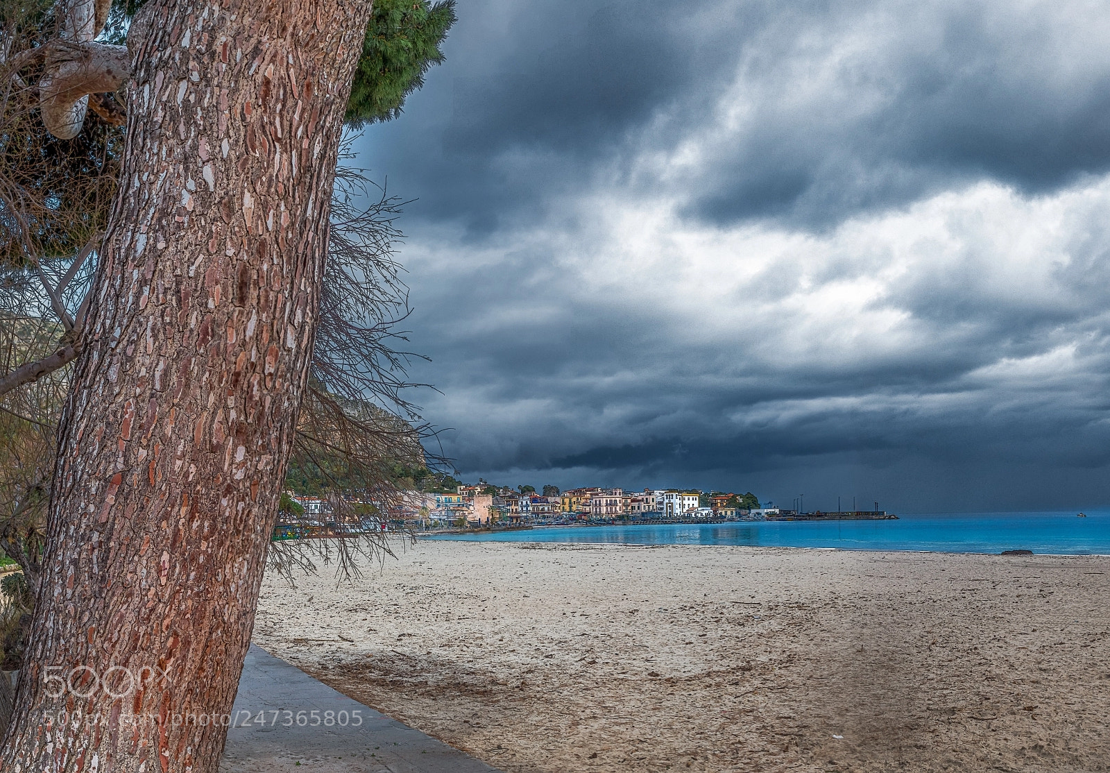 Sony Cyber-shot DSC-RX100 IV sample photo. Mondello from the tree photography