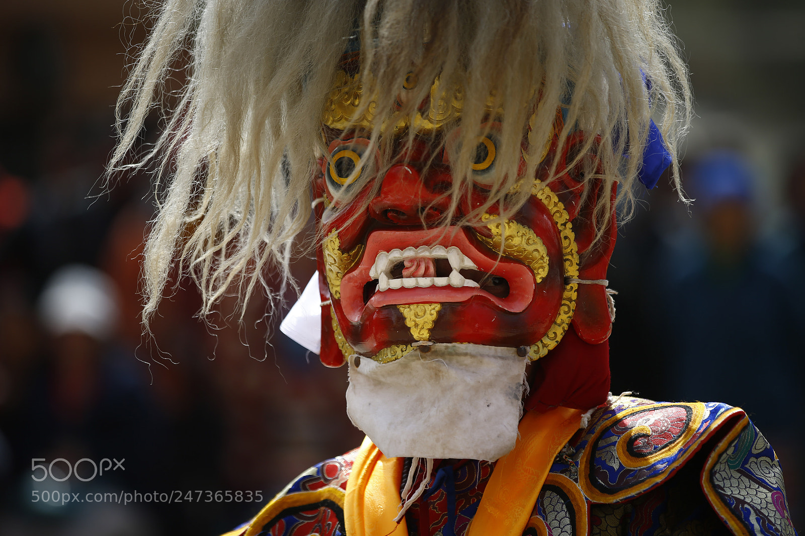 Canon EOS-1D X sample photo. Hyolmo tsechu festival in photography