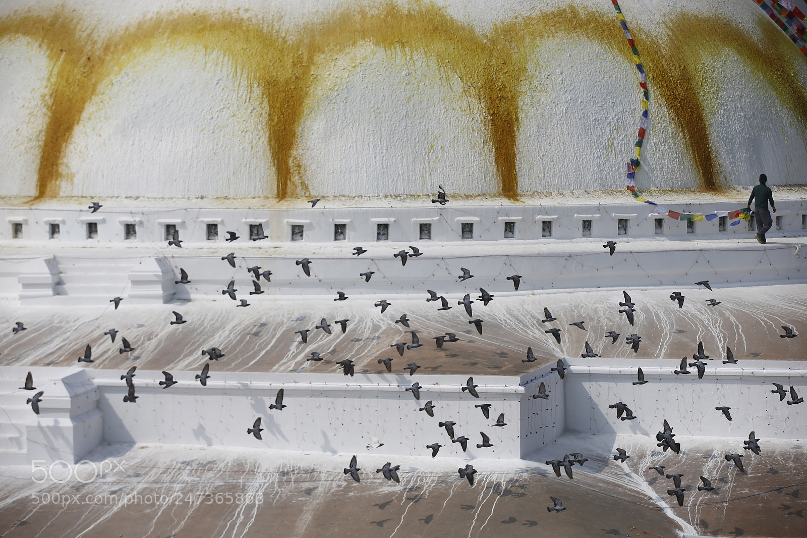 Canon EOS-1D X sample photo. Holy day at boudhanath photography