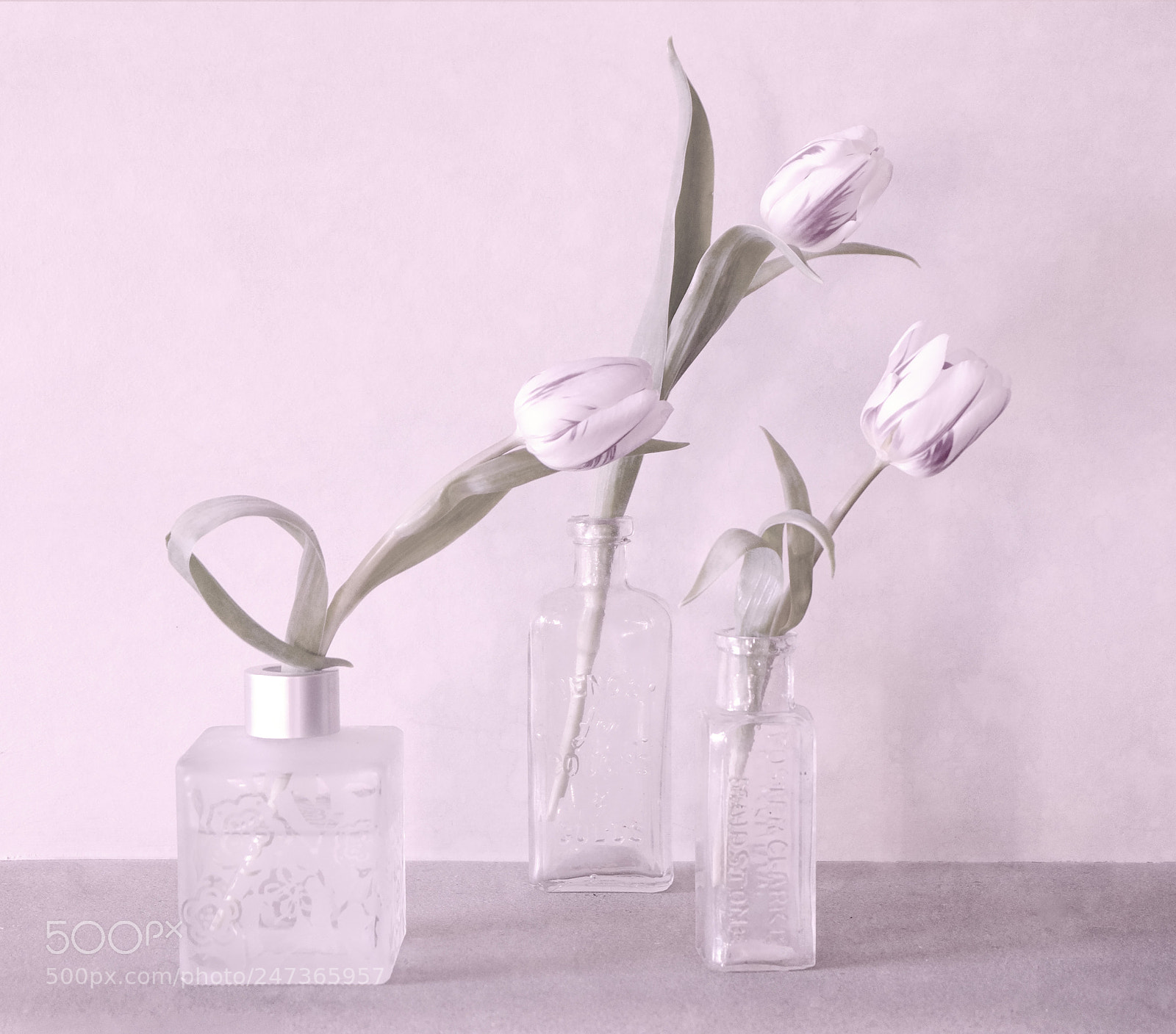 Fujifilm X-T10 sample photo. Tulips in pink photography