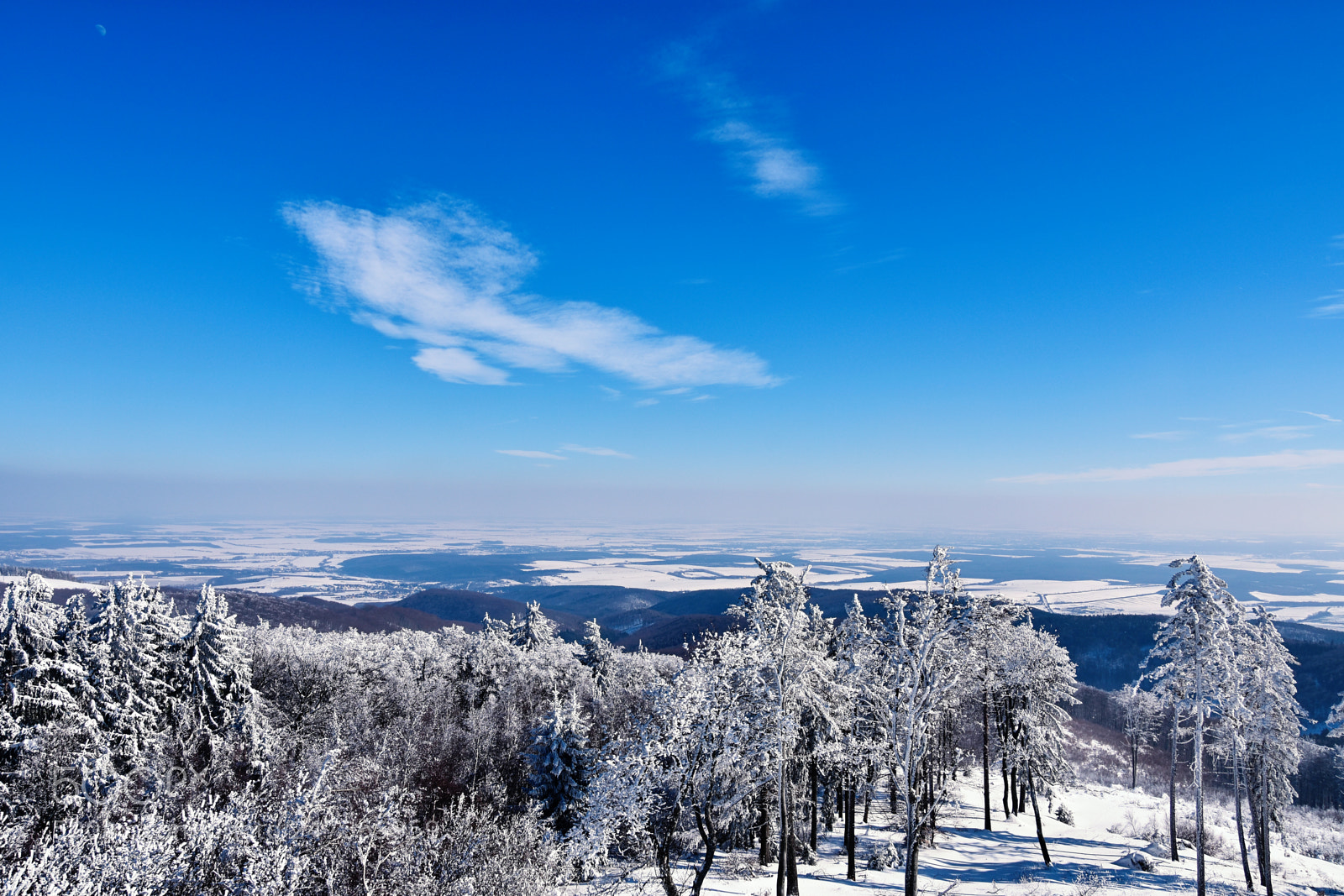 Nikon D3400 sample photo. Nice snow trip.., photography photography