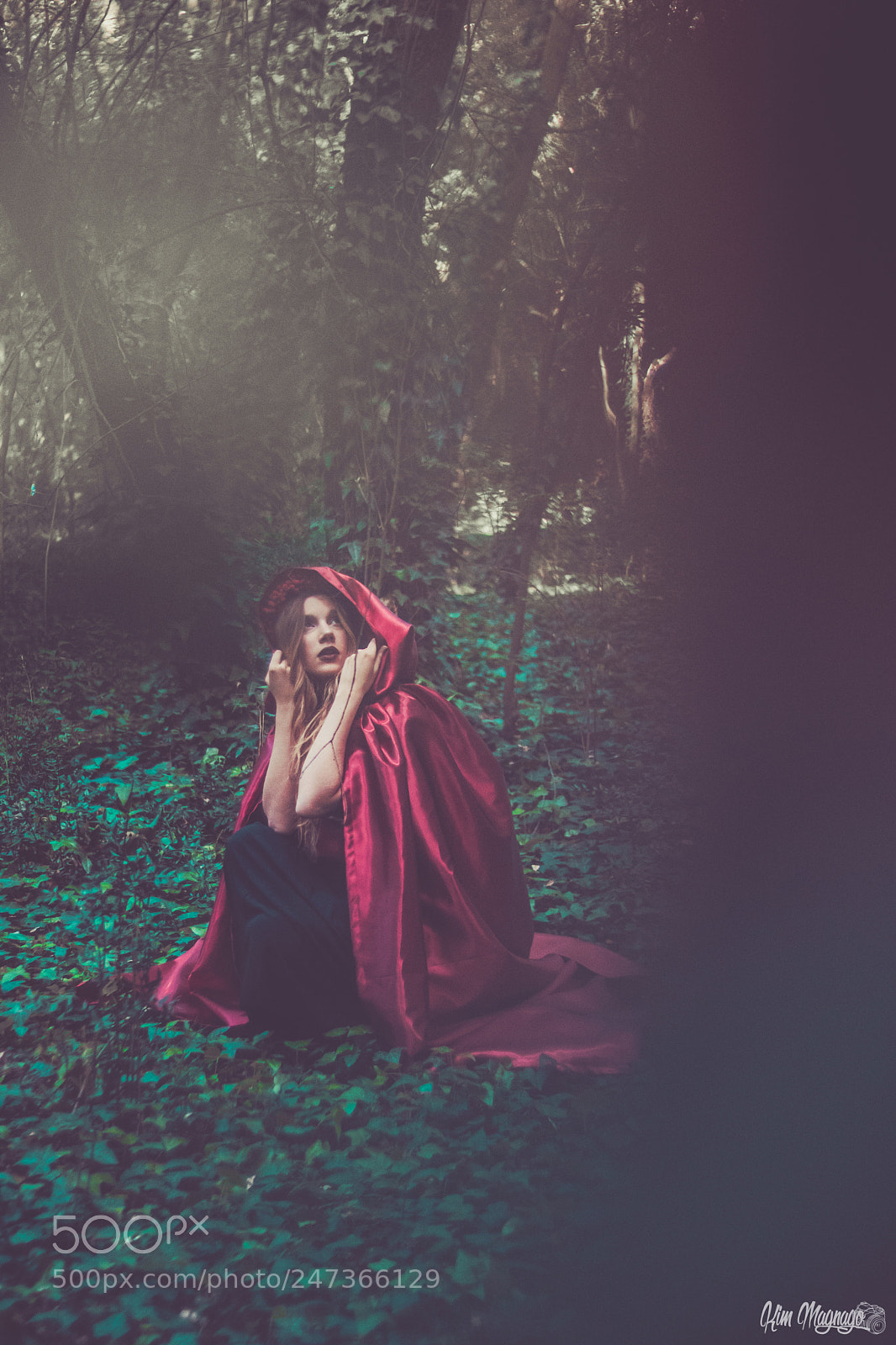 Canon EOS 80D sample photo. Little red riding hood. photography