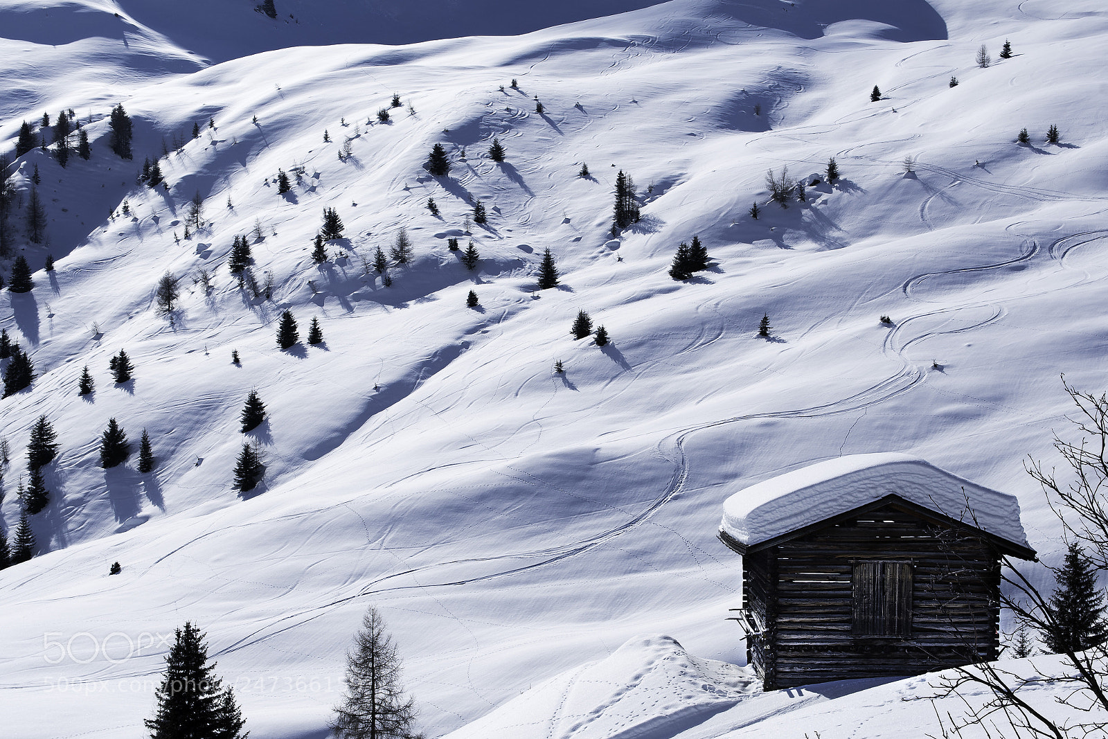 Nikon D500 sample photo. Arosa photography