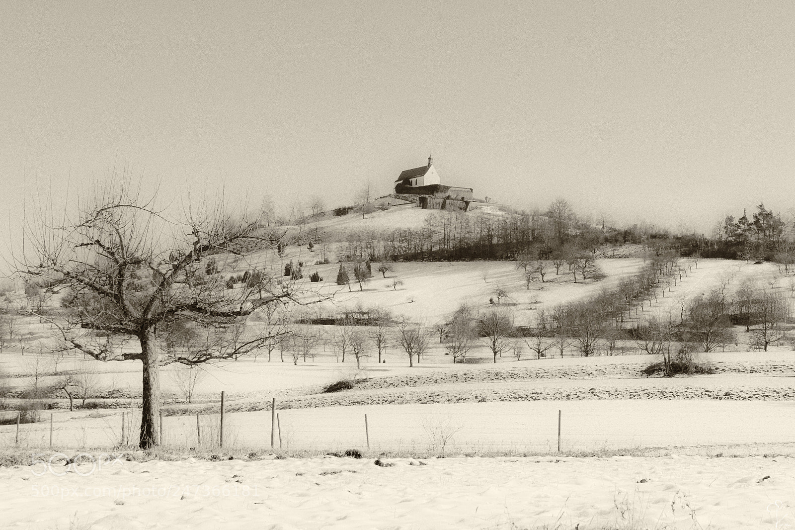 Nikon D7100 sample photo. Wurmlinger kapelle photography