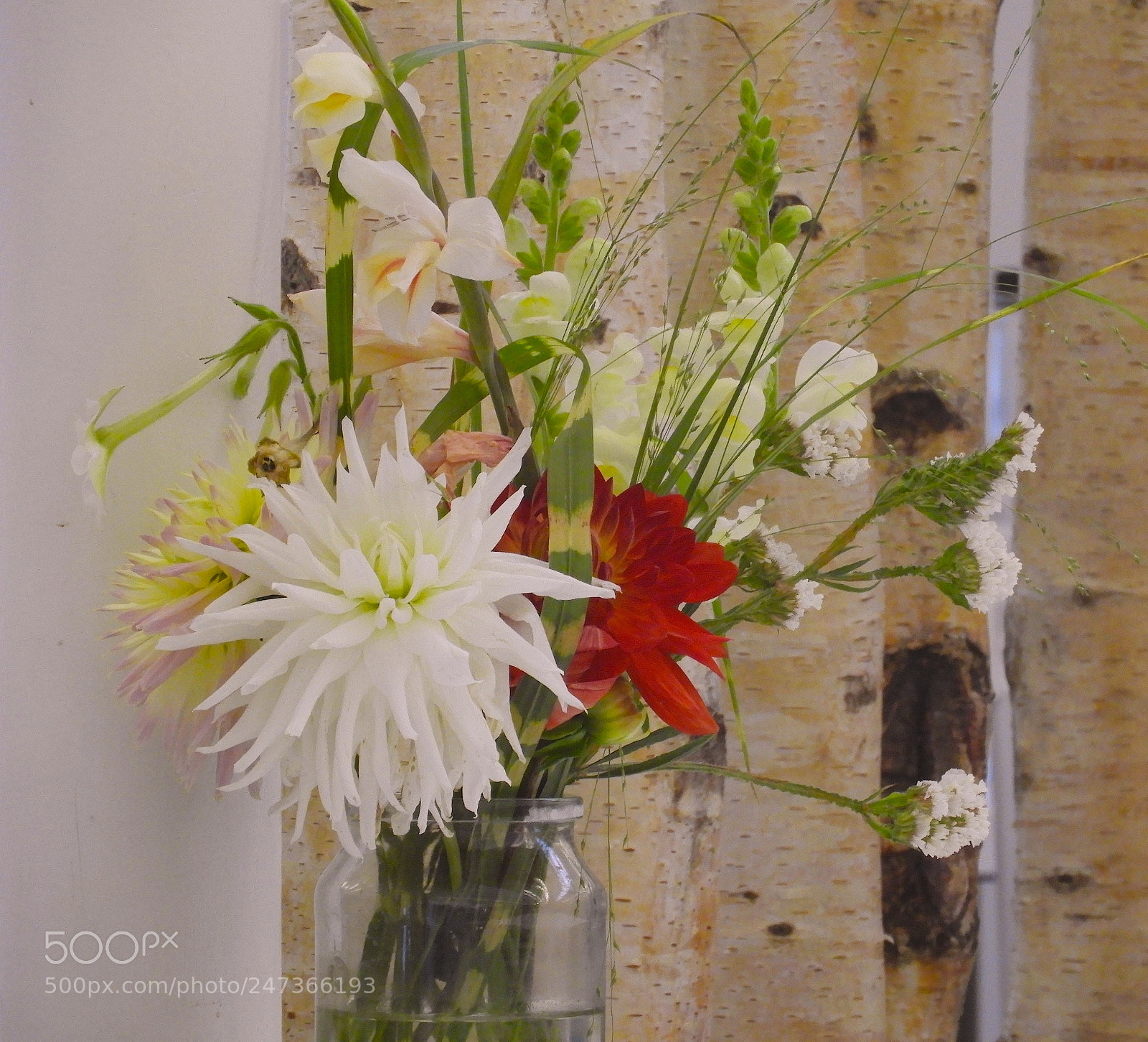 Nikon Coolpix B700 sample photo. Still life with flowers photography
