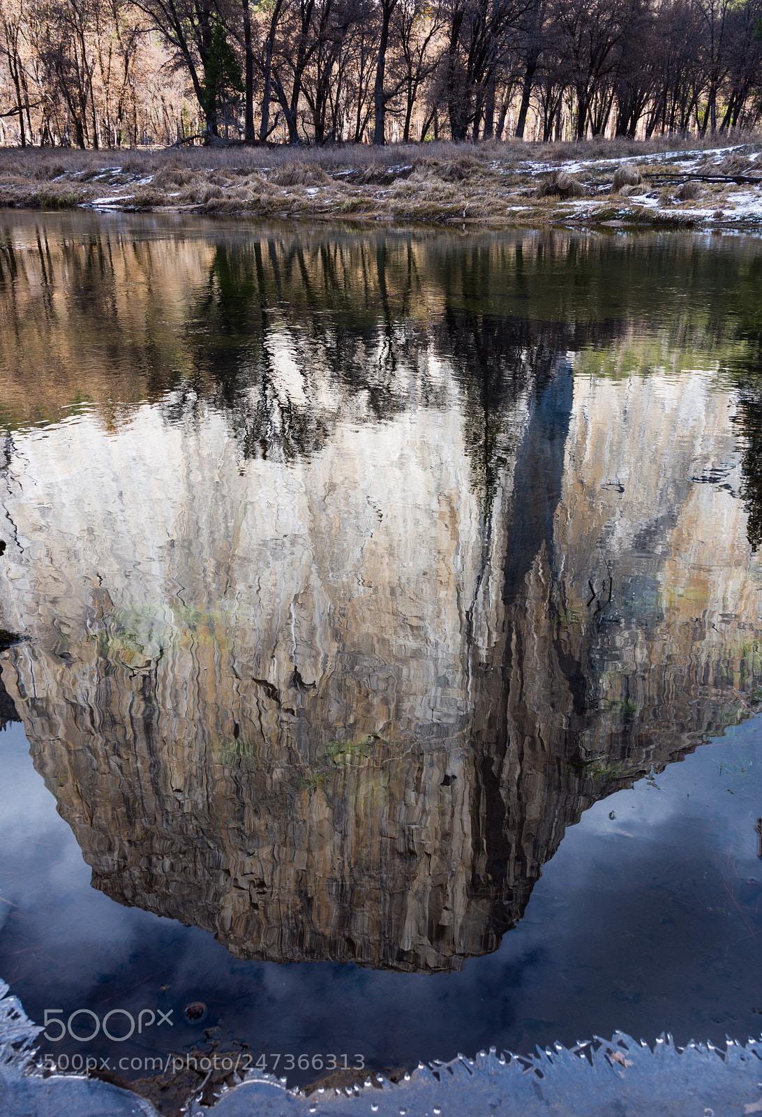 Nikon D810 sample photo. Elcapitan reflection yosemite photography
