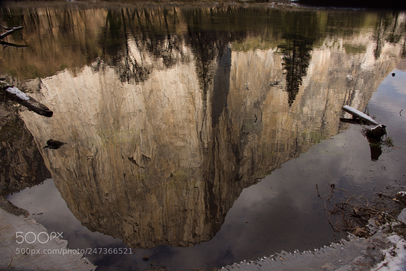 Nikon D810 sample photo. Elcapitan reflection yosemite photography