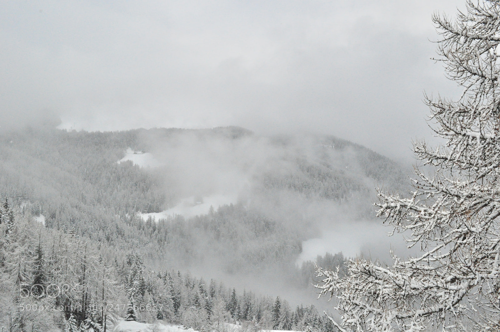 Nikon D5000 sample photo. Foggy day in mountains photography