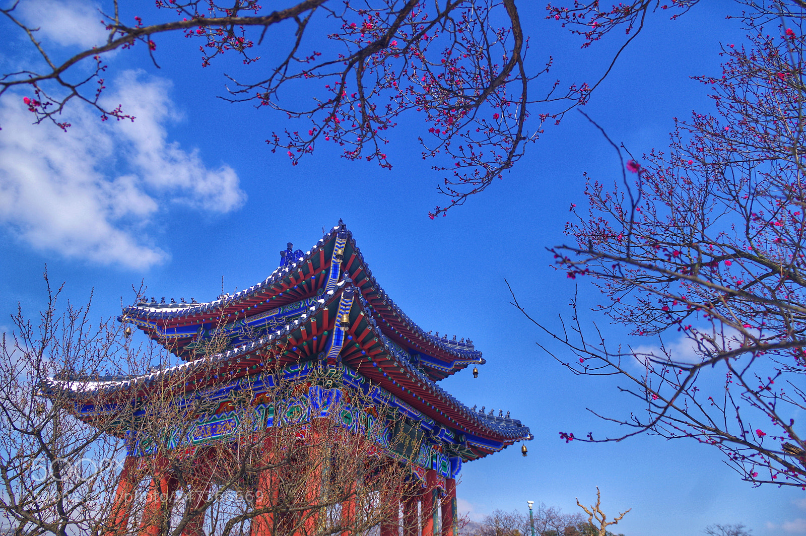 Pentax K-3 II sample photo. Untitled photography