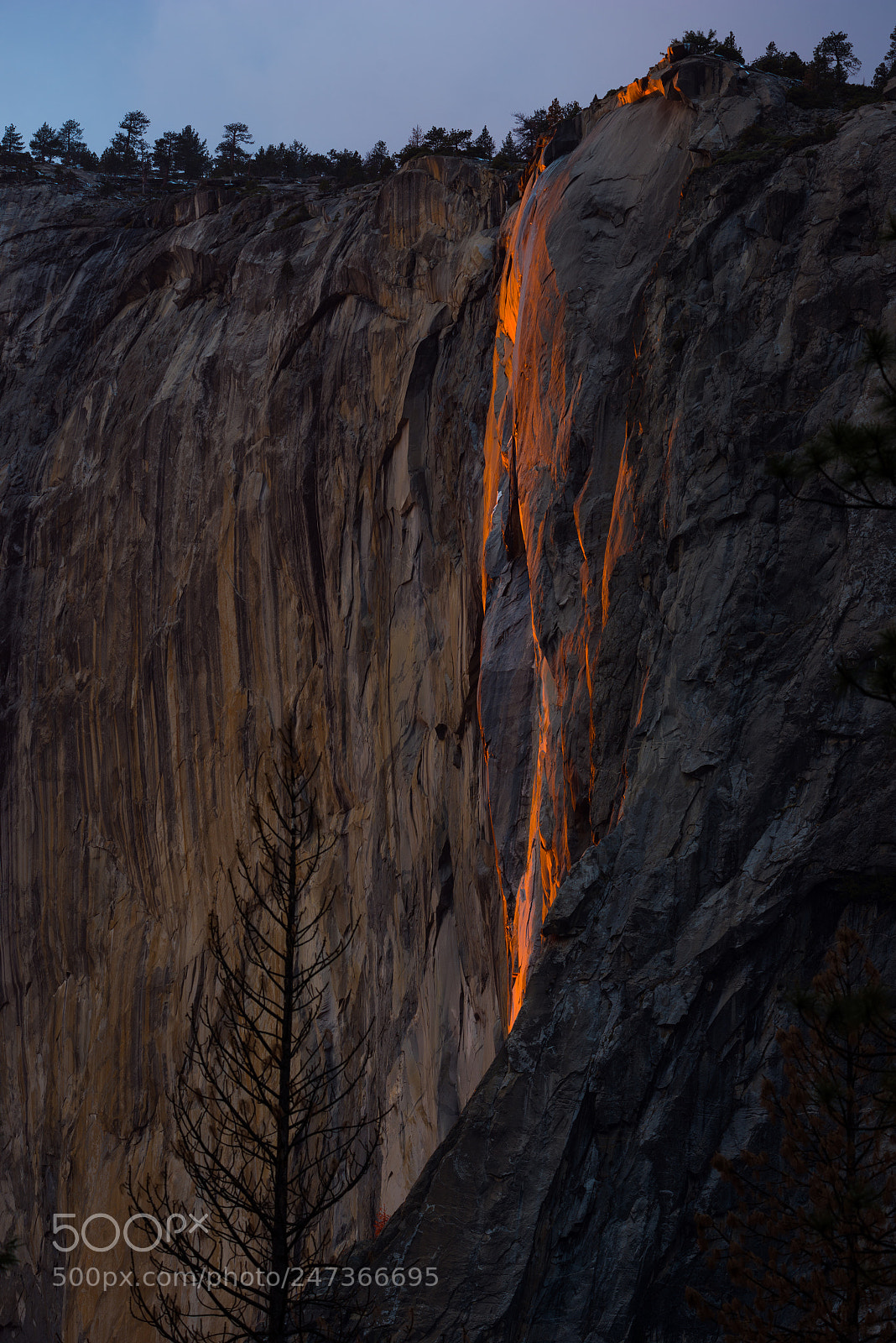 Nikon D810 sample photo. Fire falls photography