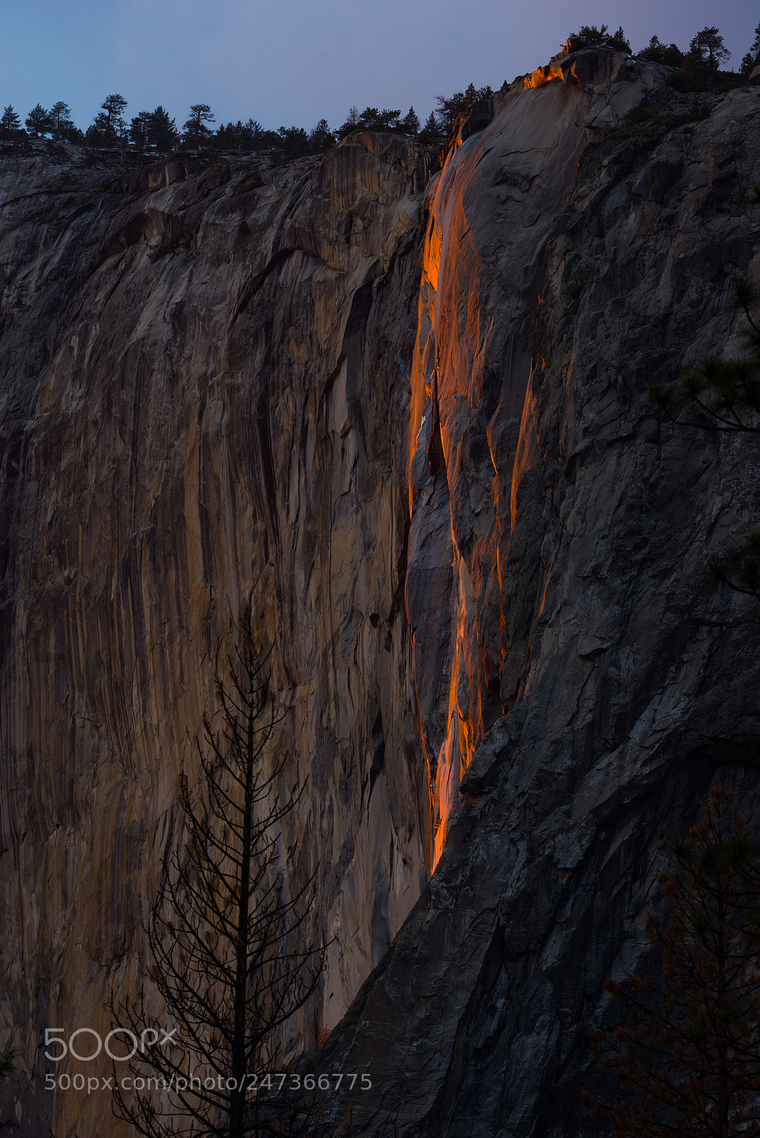 Nikon D810 sample photo. Fire falls photography