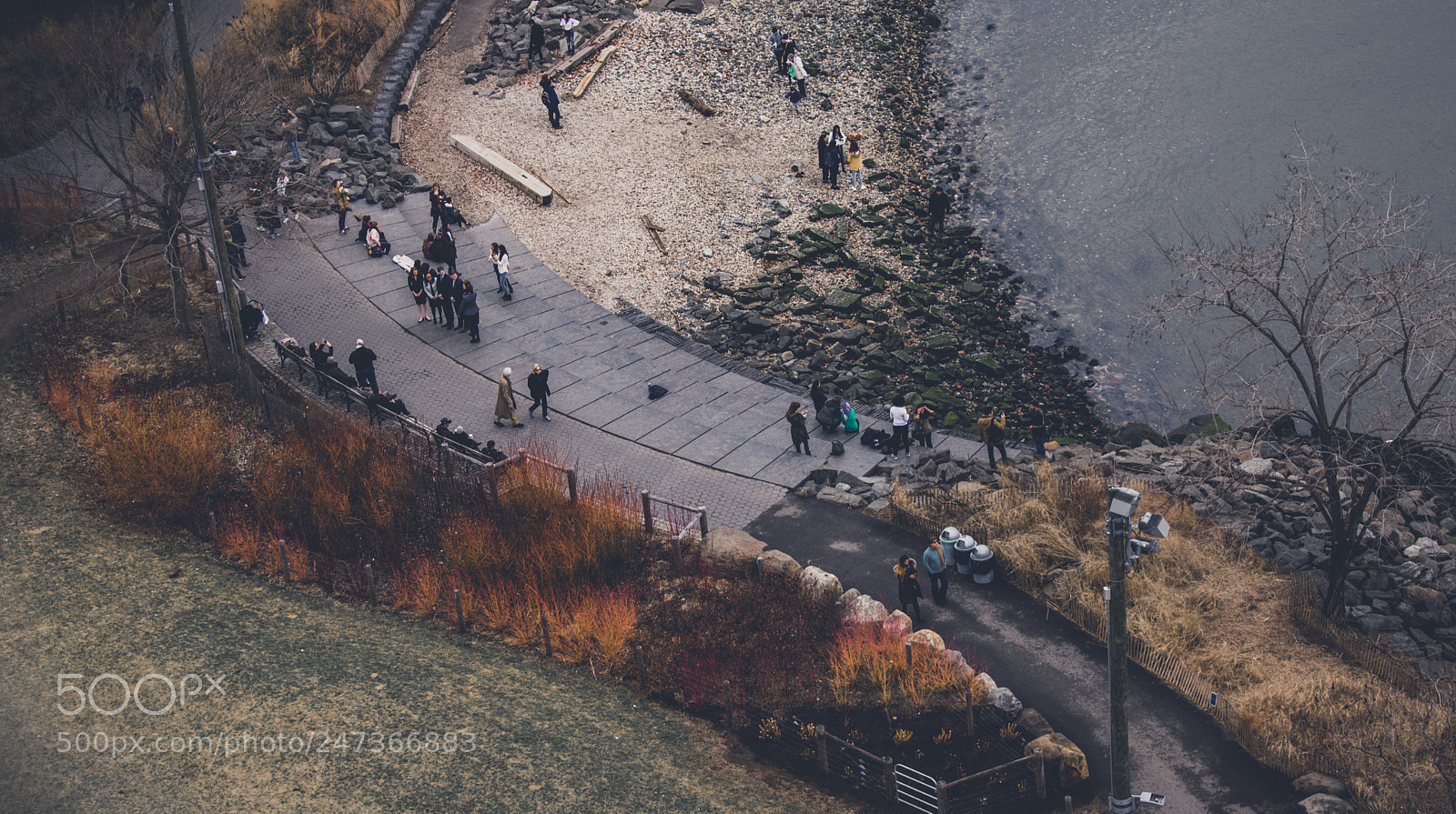 Nikon D3400 sample photo. Dumbo park photography