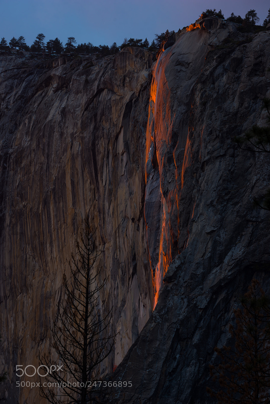 Nikon D810 sample photo. Fire falls photography