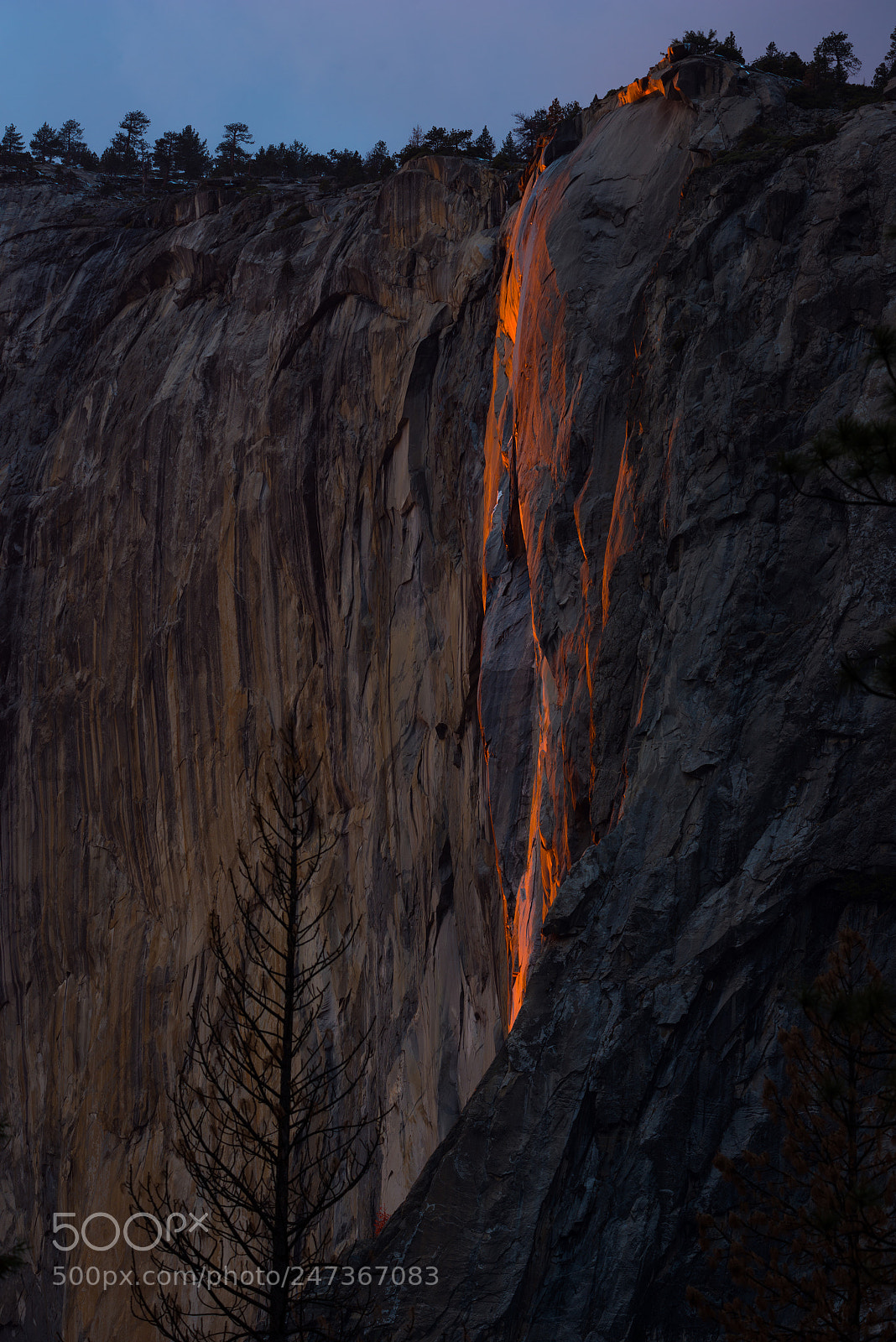Nikon D810 sample photo. Fire falls photography