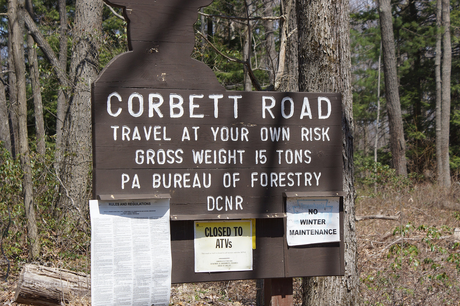 Sony SLT-A77 sample photo. Corbett road copy photography