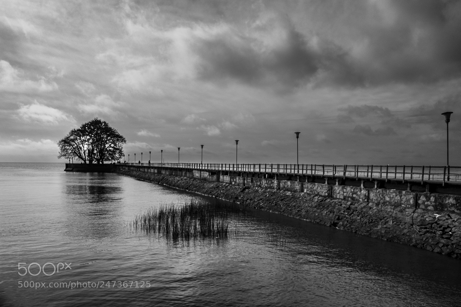 Leica Q (Typ 116) sample photo. Puerto de olivos photography