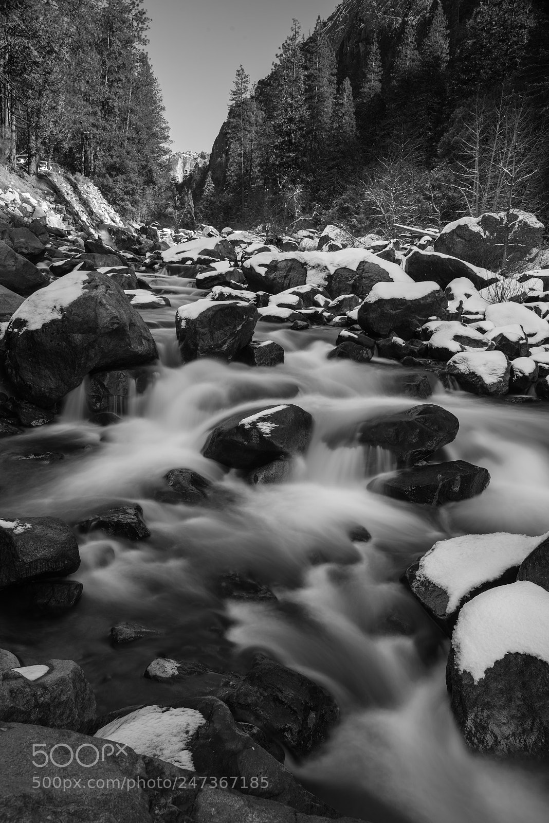 Nikon D810 sample photo. Merced river bw silky photography