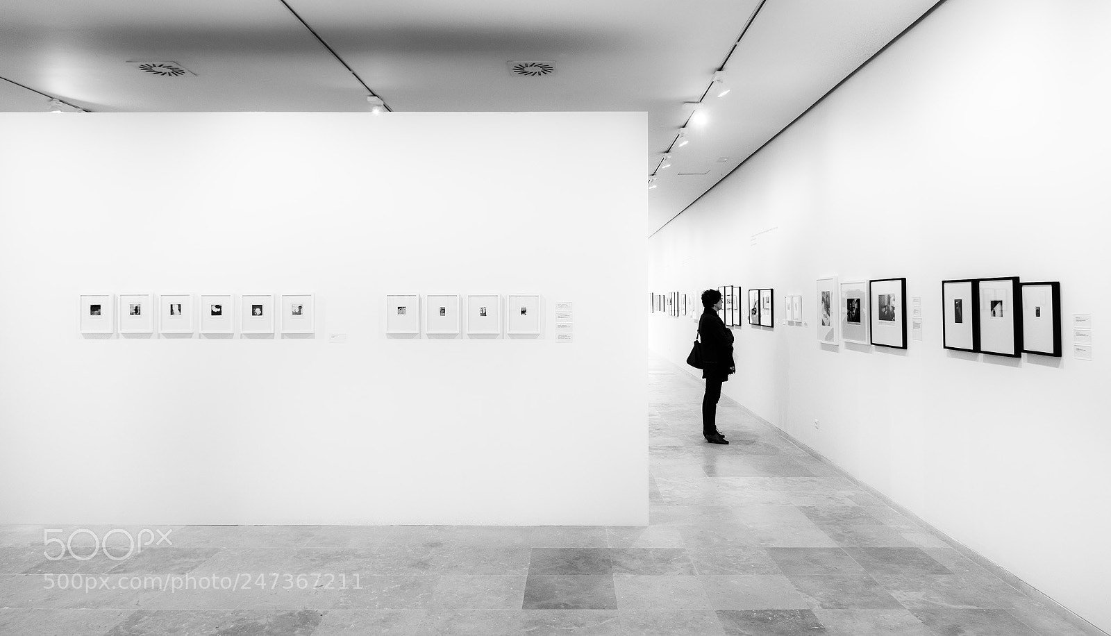 Nikon D7100 sample photo. Museo ii photography