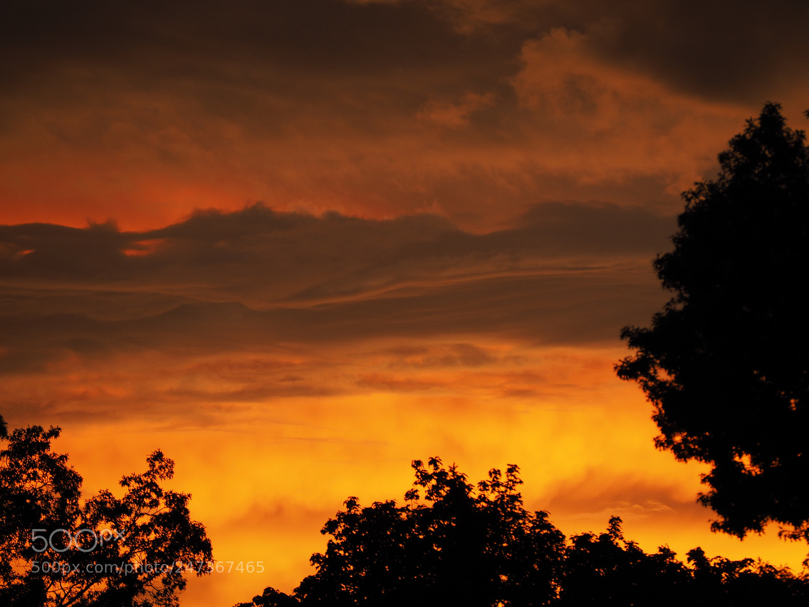 Olympus OM-D E-M10 II sample photo. The sun sets in photography