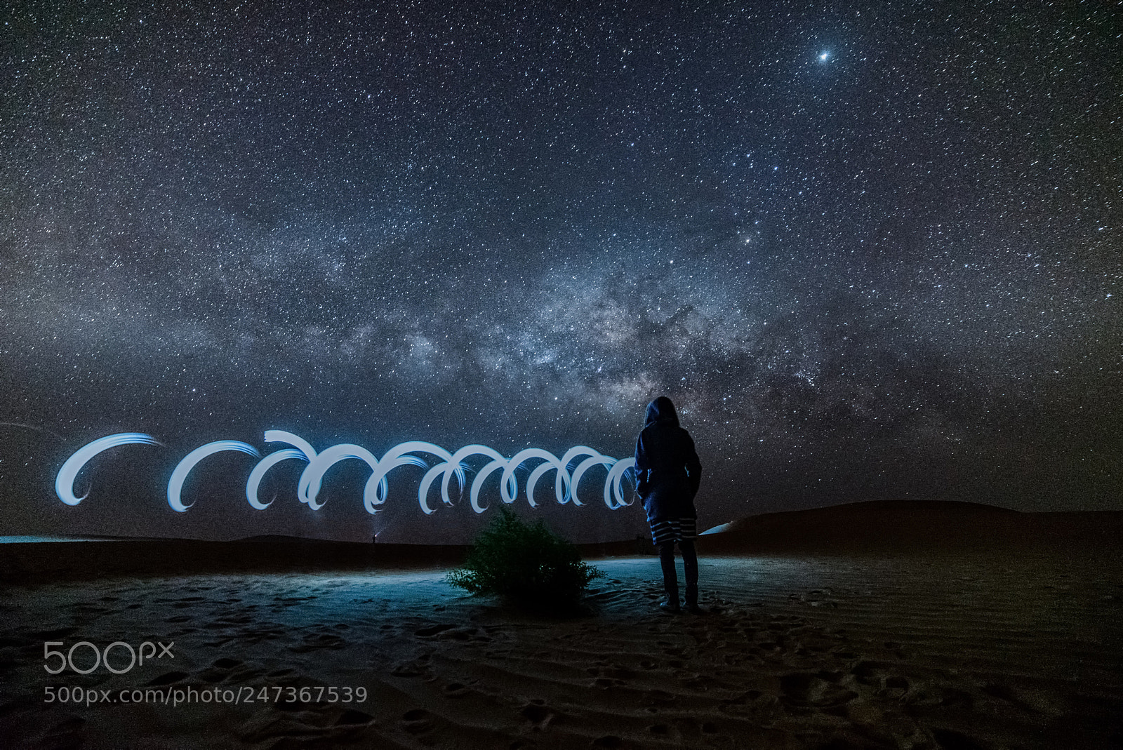 Nikon D610 sample photo. Under the milky way photography