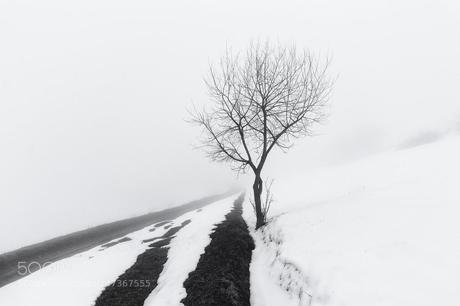 Canon EOS 80D sample photo. Winter morning in rhodopes photography