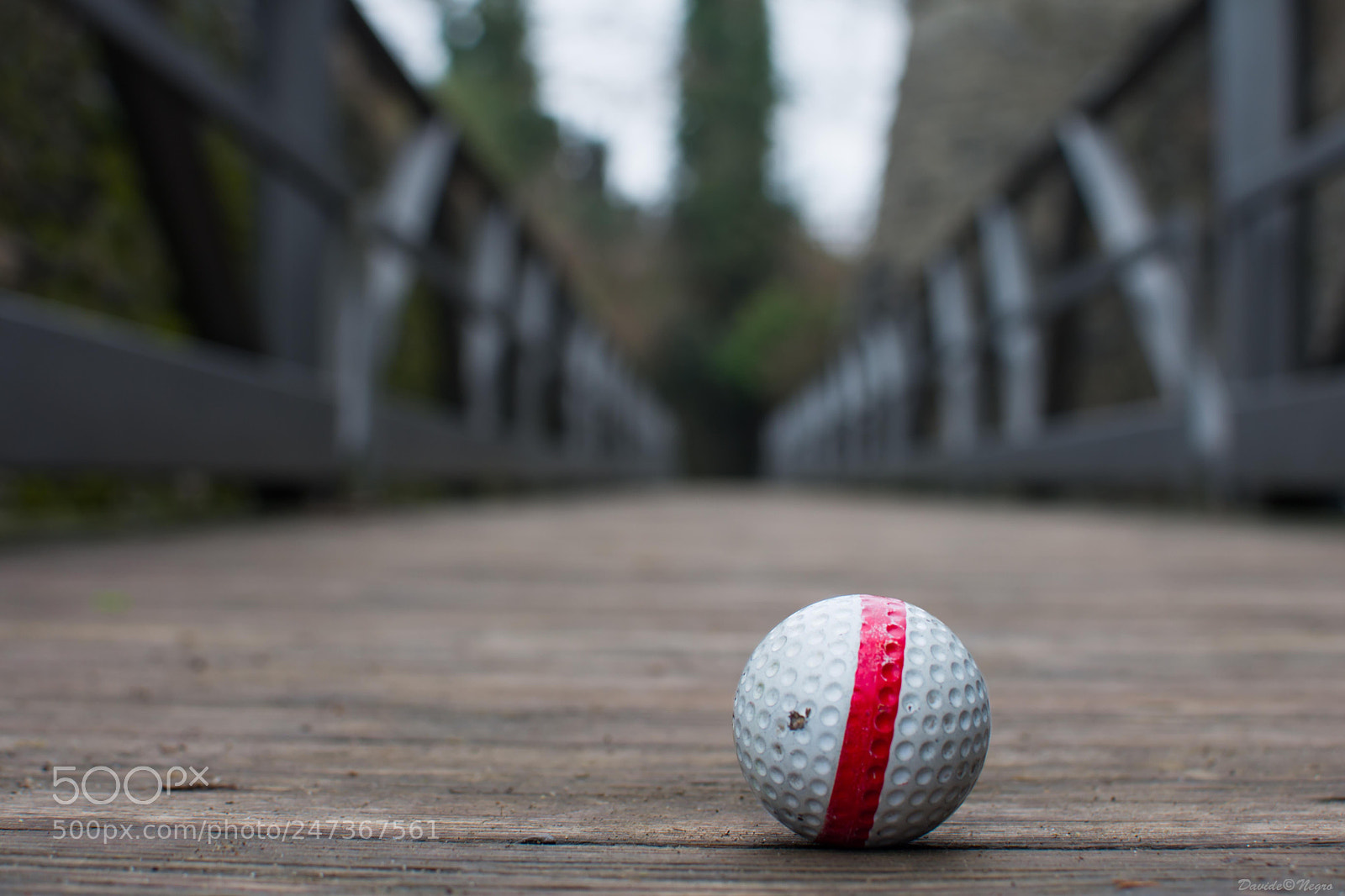 Nikon D7100 sample photo. Pallina photography