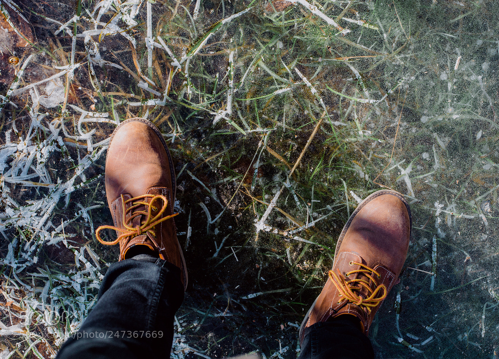 Nikon D610 sample photo. Frozen meadow photography