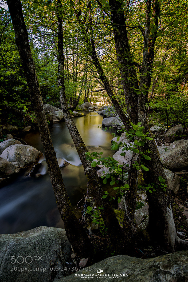 Nikon D610 sample photo. Valley photography