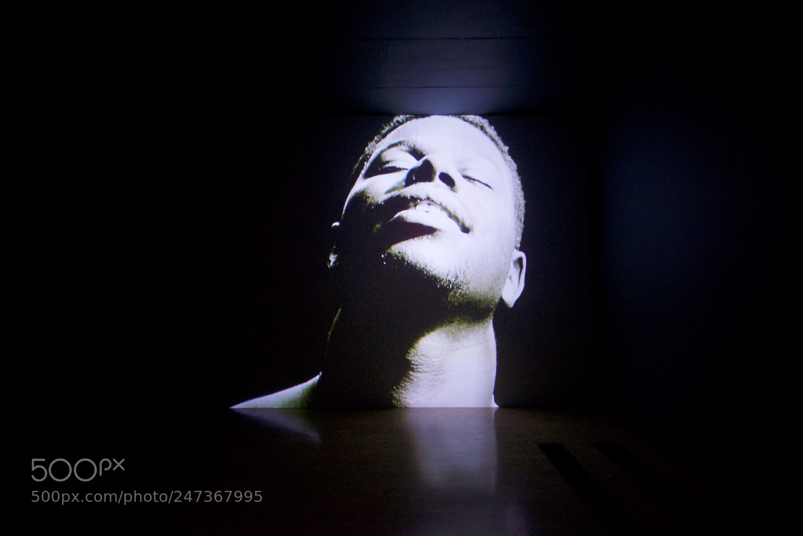Sony a7R sample photo. Birmingham / blenheim photography
