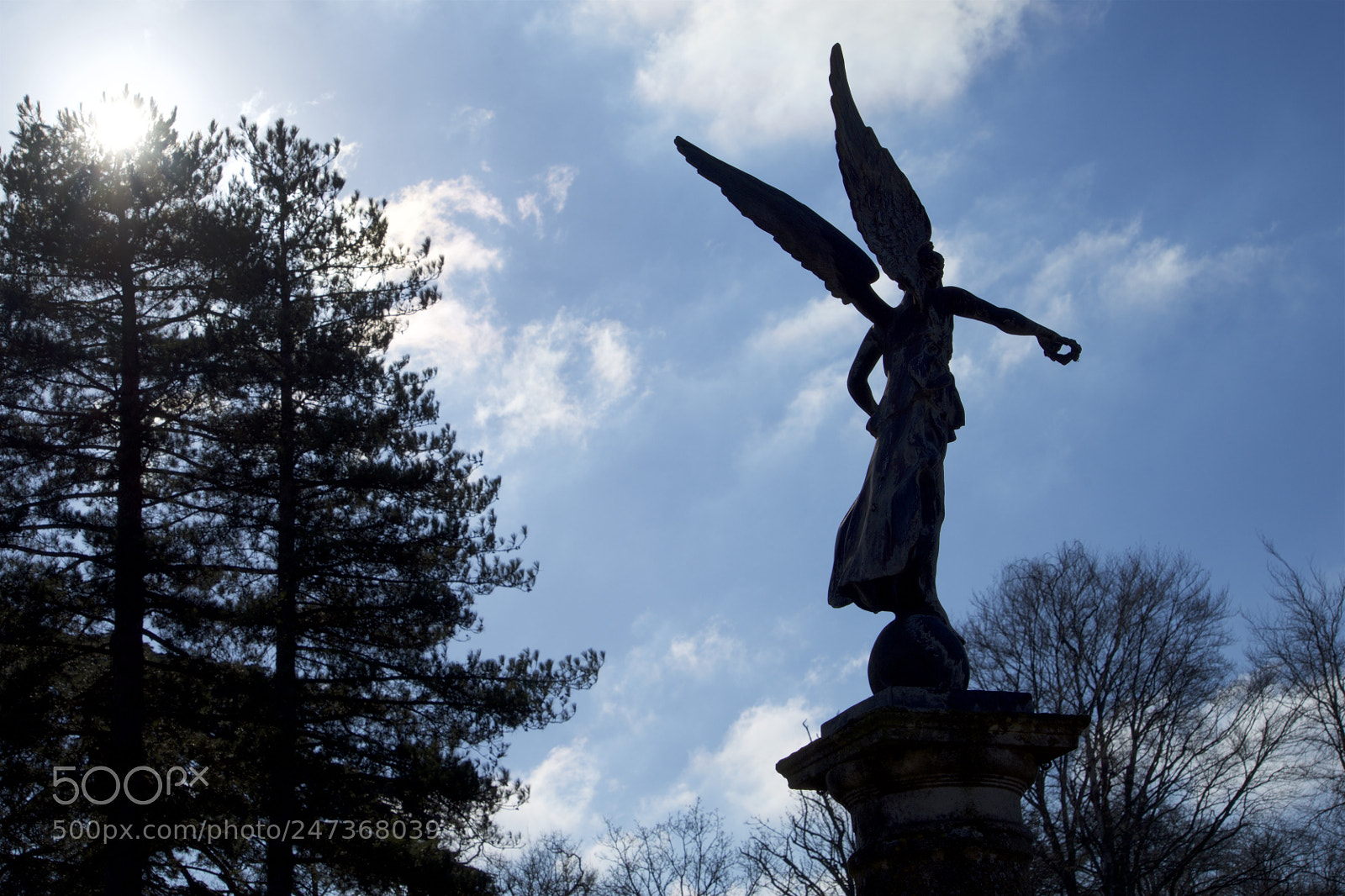 Sony a7R sample photo. Birmingham / blenheim photography