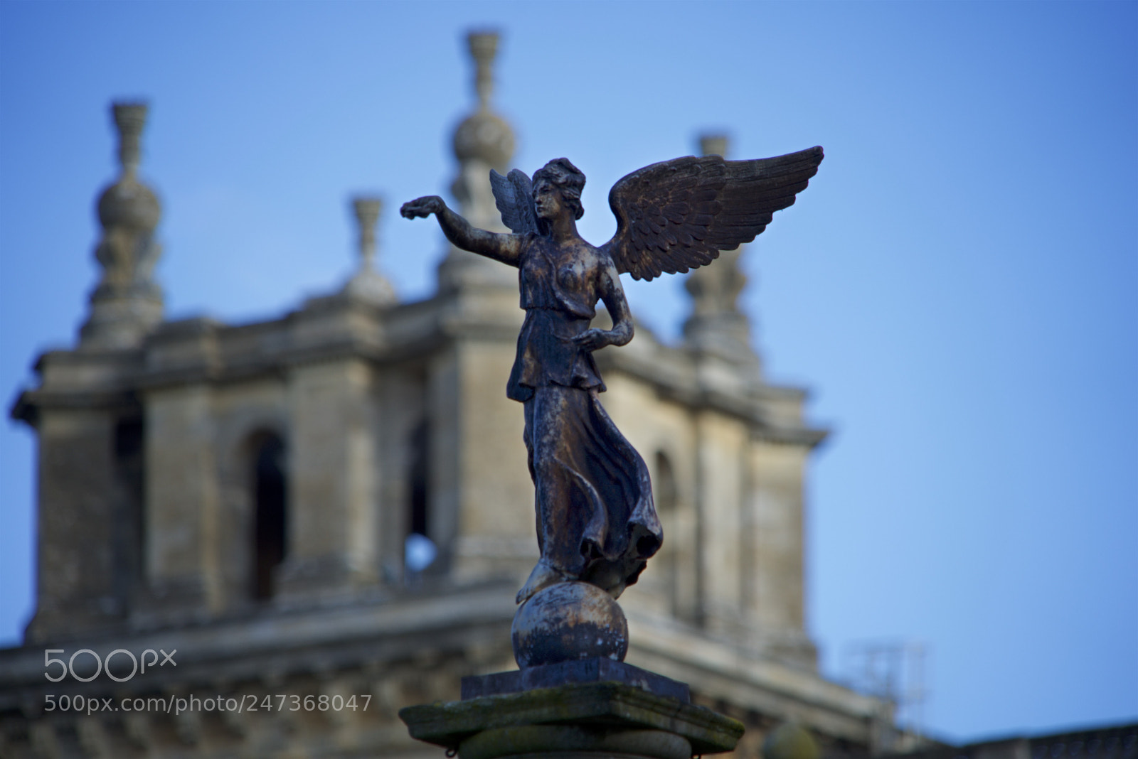 Sony a7R sample photo. Birmingham / blenheim photography