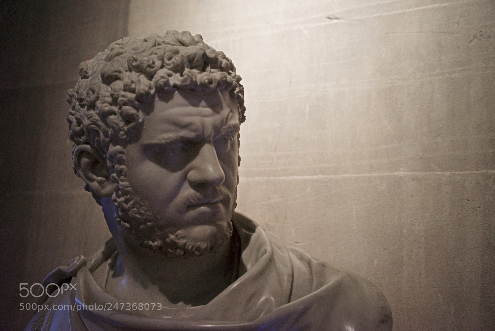 Sony a7R sample photo. Birmingham / blenheim photography