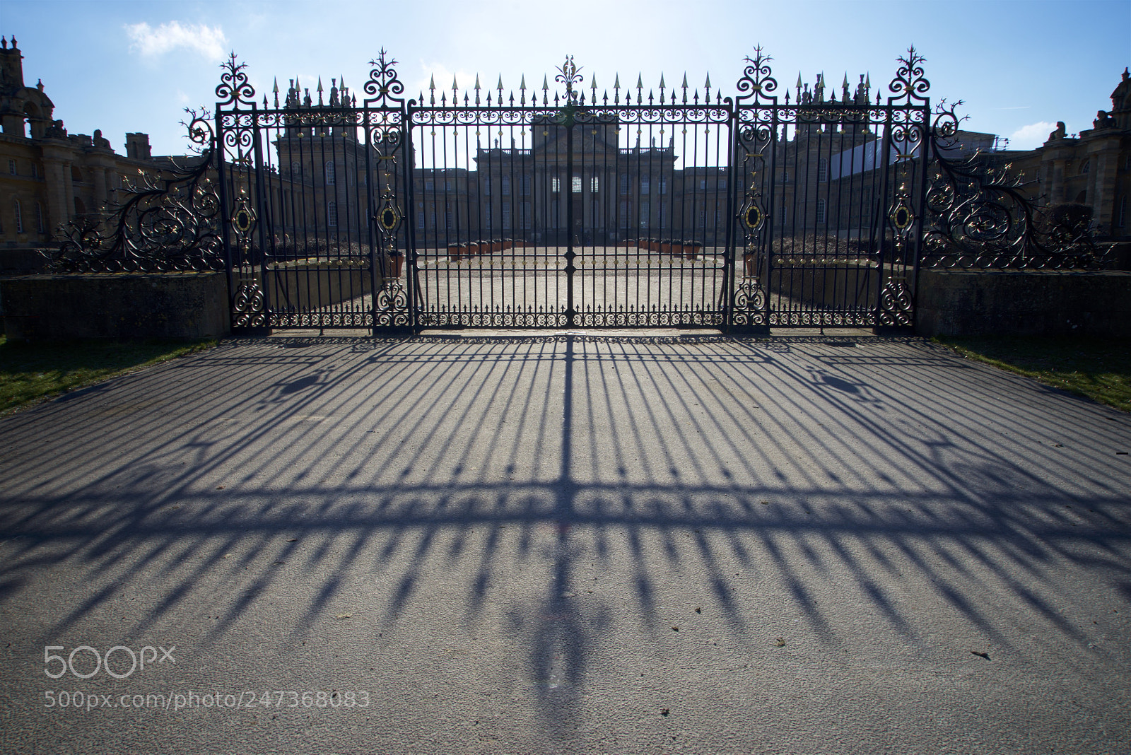 Sony a7R sample photo. Birmingham / blenheim photography