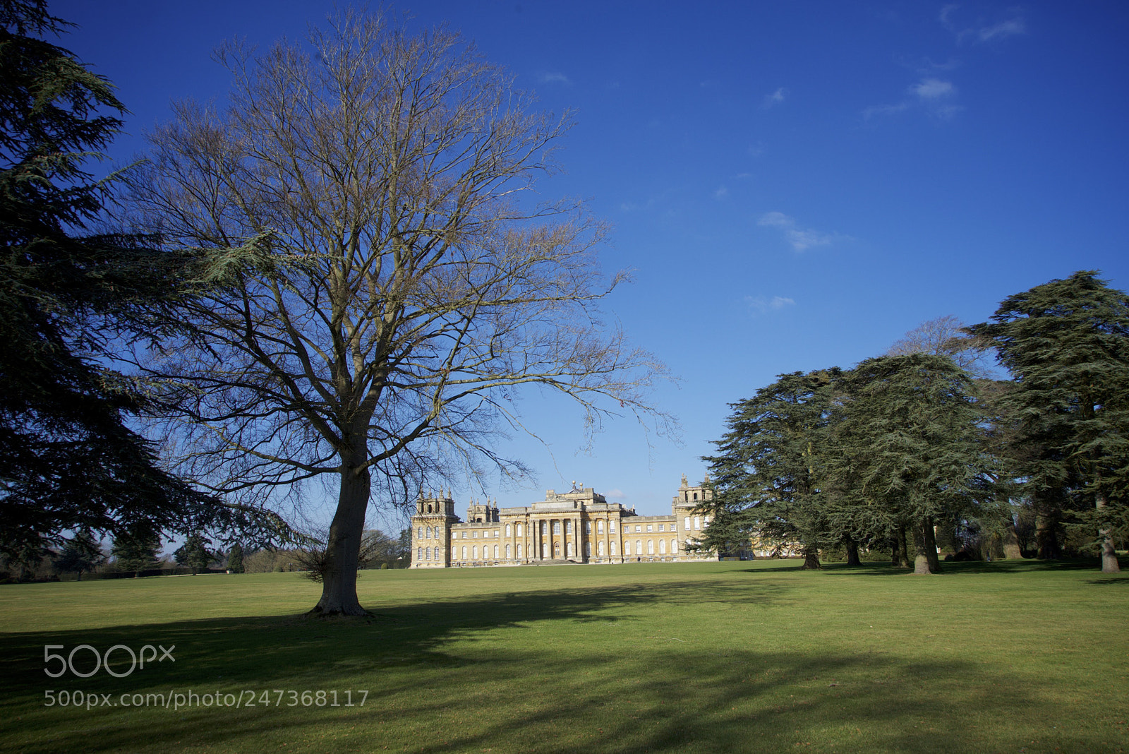 Sony a7R sample photo. Birmingham / blenheim photography