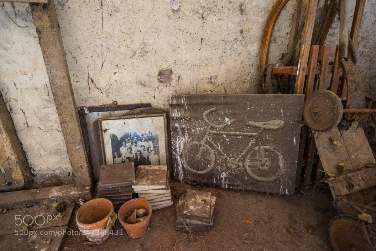 Sony a7 II sample photo. Maison t photography