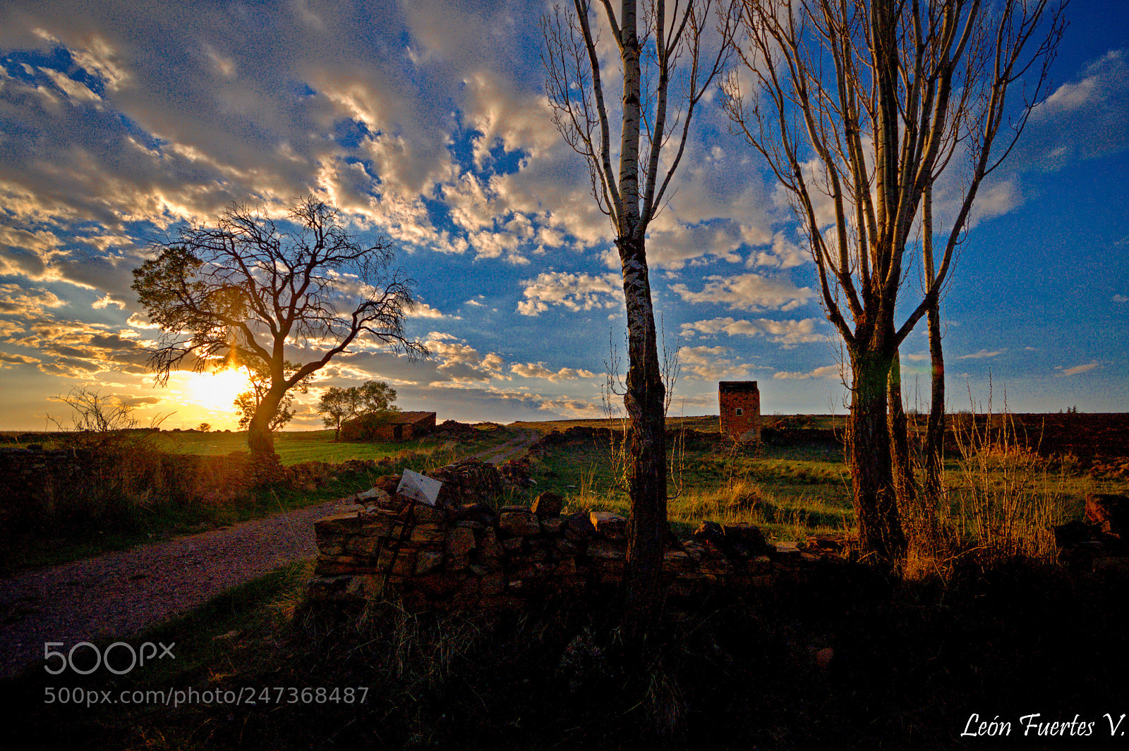 Nikon D5000 sample photo. Atardecer.sunset. photography