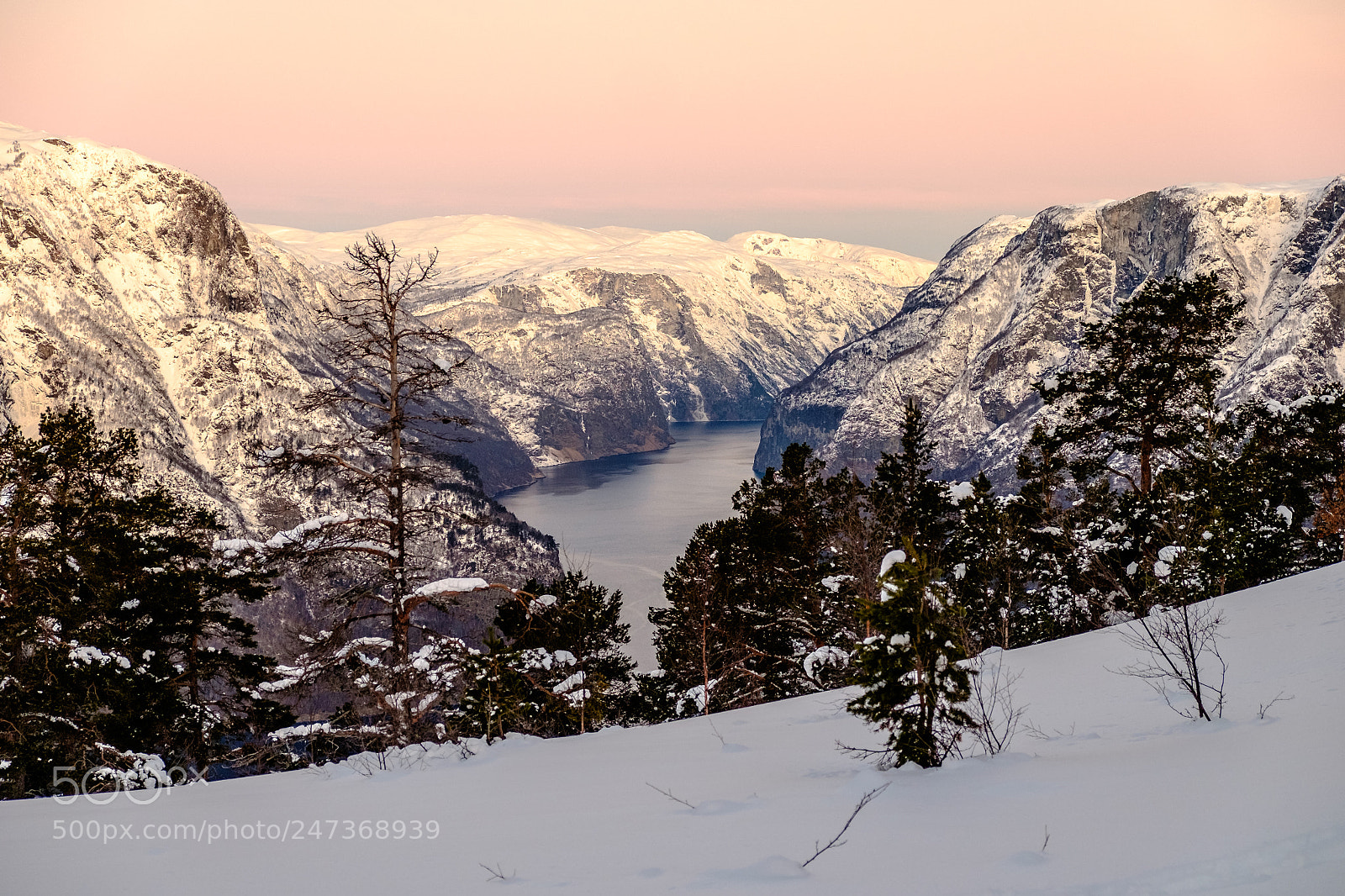 Fujifilm X-T1 sample photo. Norwegian morning photography