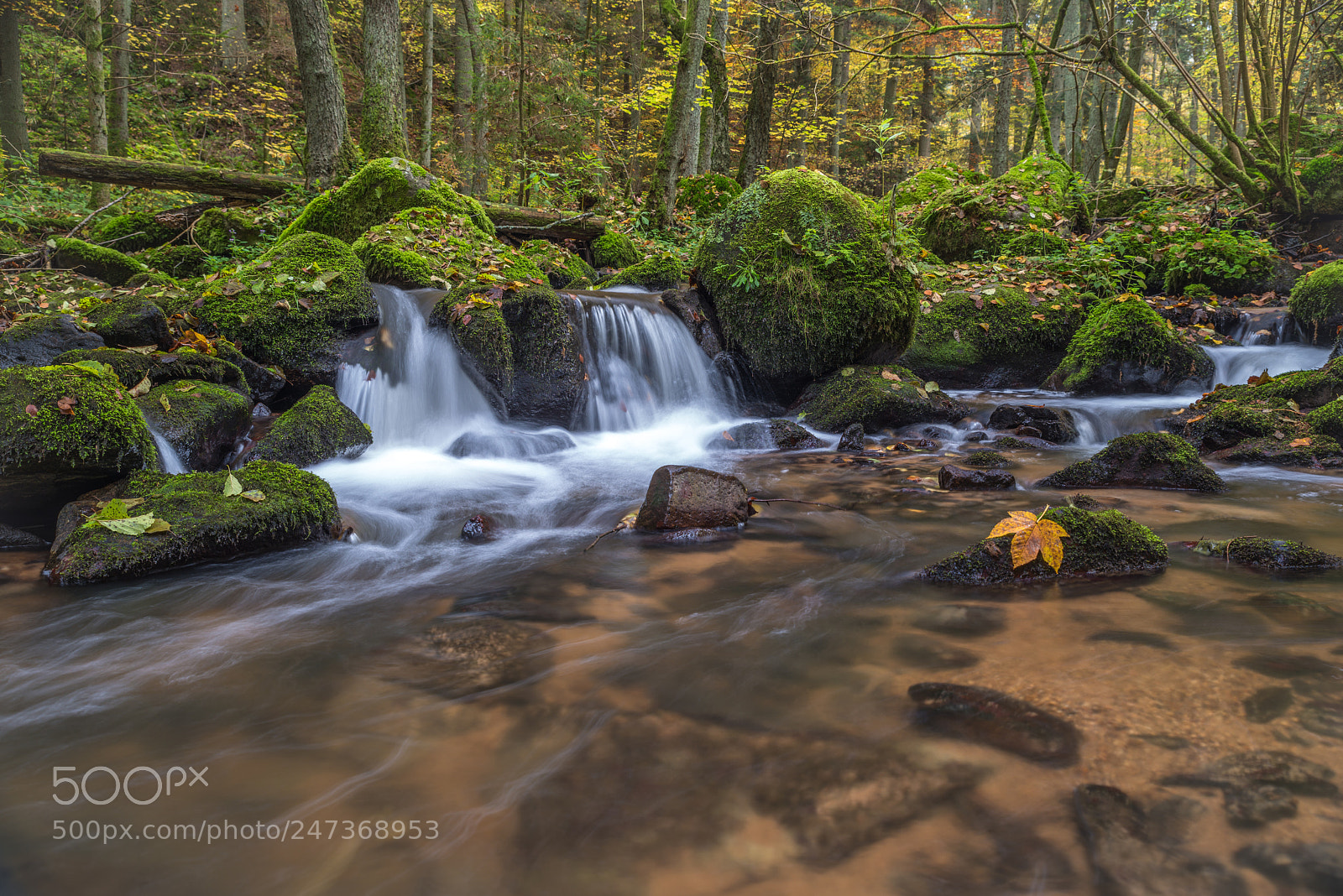Pentax K-1 sample photo. Creek in the woods photography