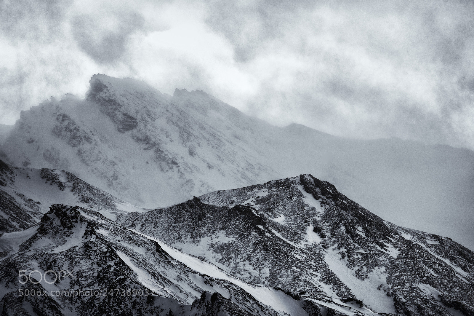 Nikon D500 sample photo. Windstorm photography