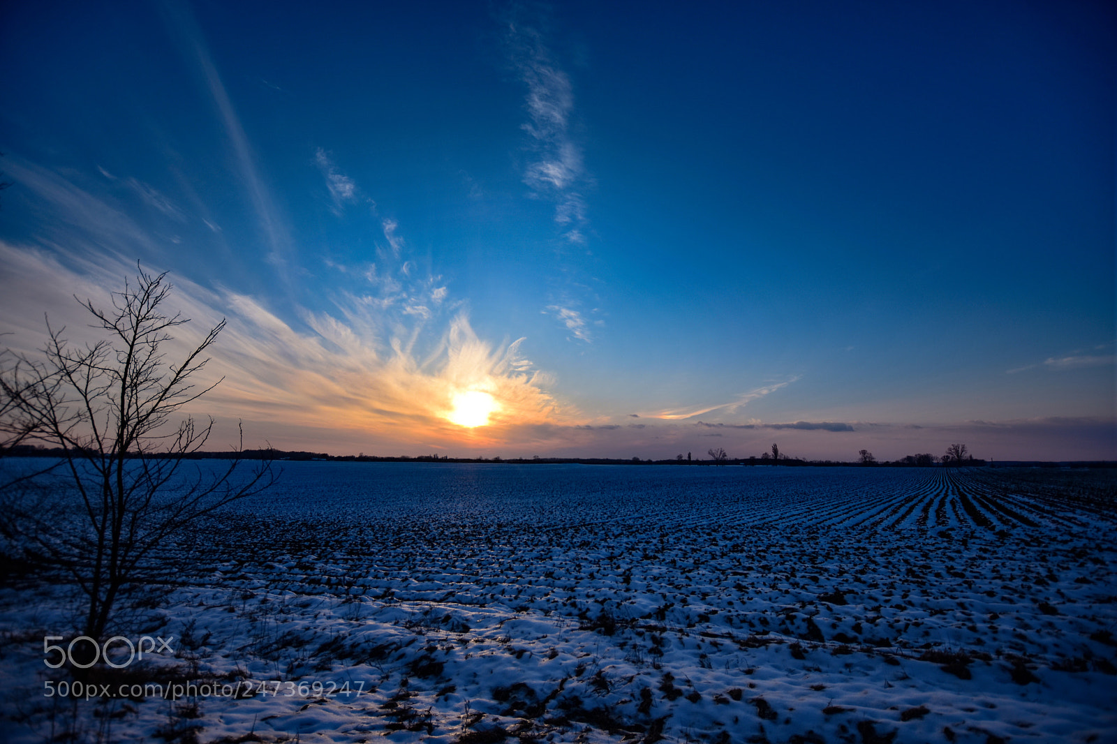 Nikon D7200 sample photo. Untitled photography