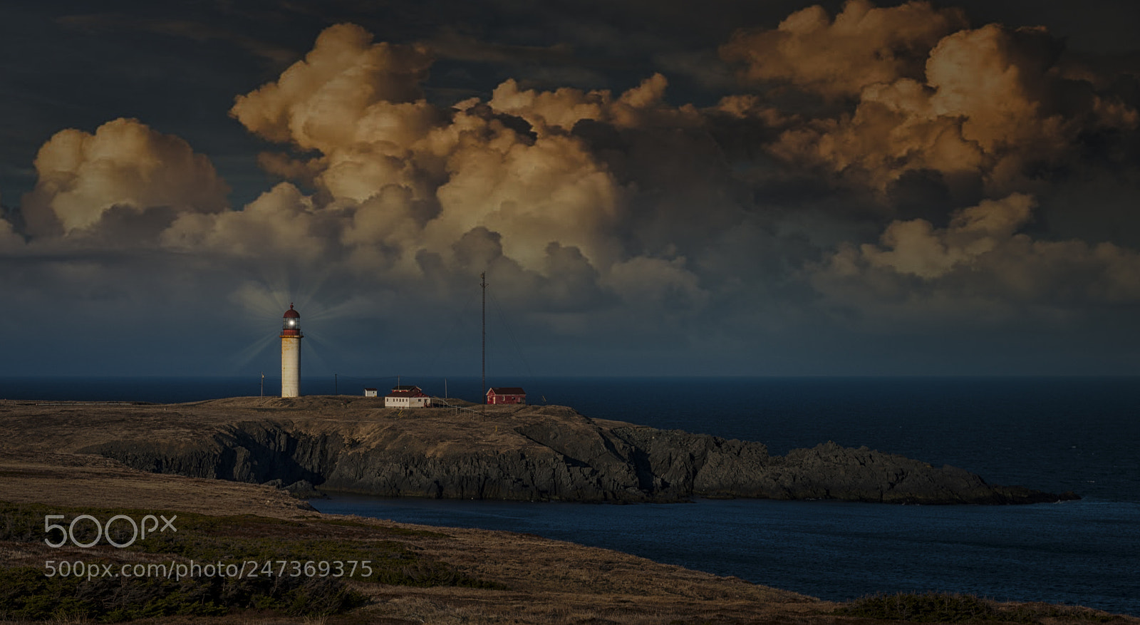 Nikon D800 sample photo. Cape race light photography