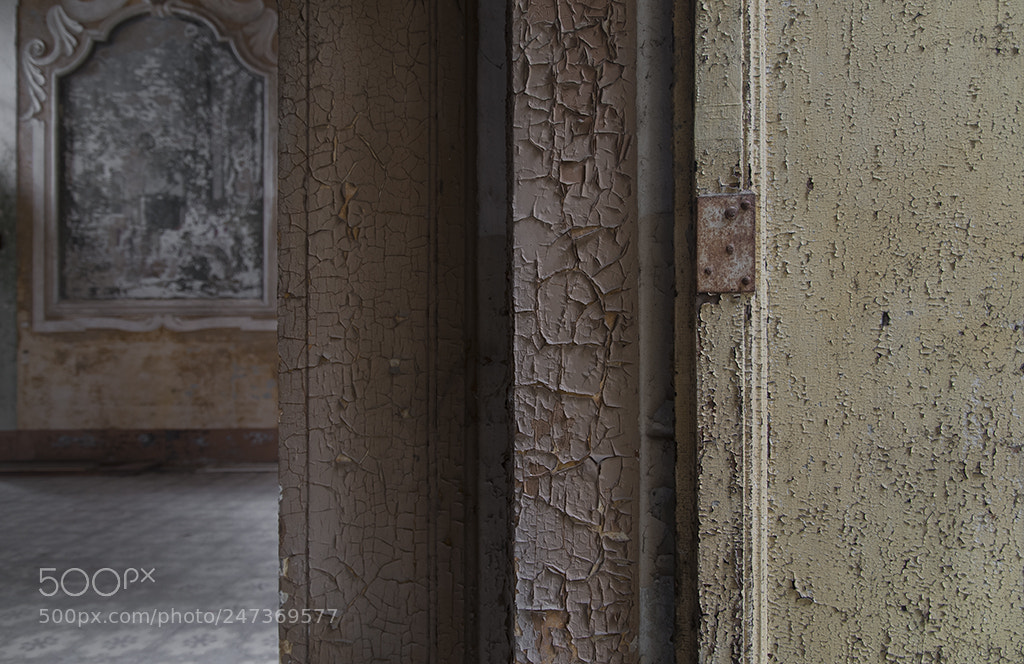 Nikon D300 sample photo. Il fascino delle rughe photography