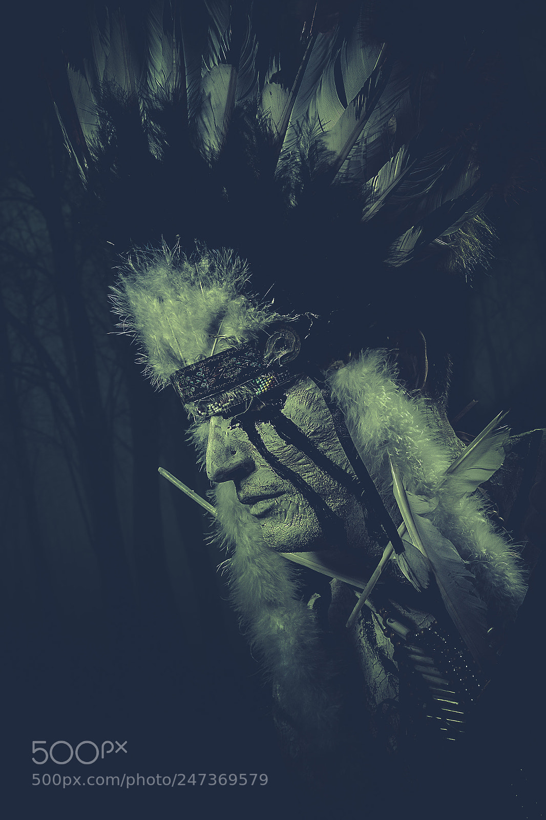 Canon EOS 7D sample photo. American indian chief of photography