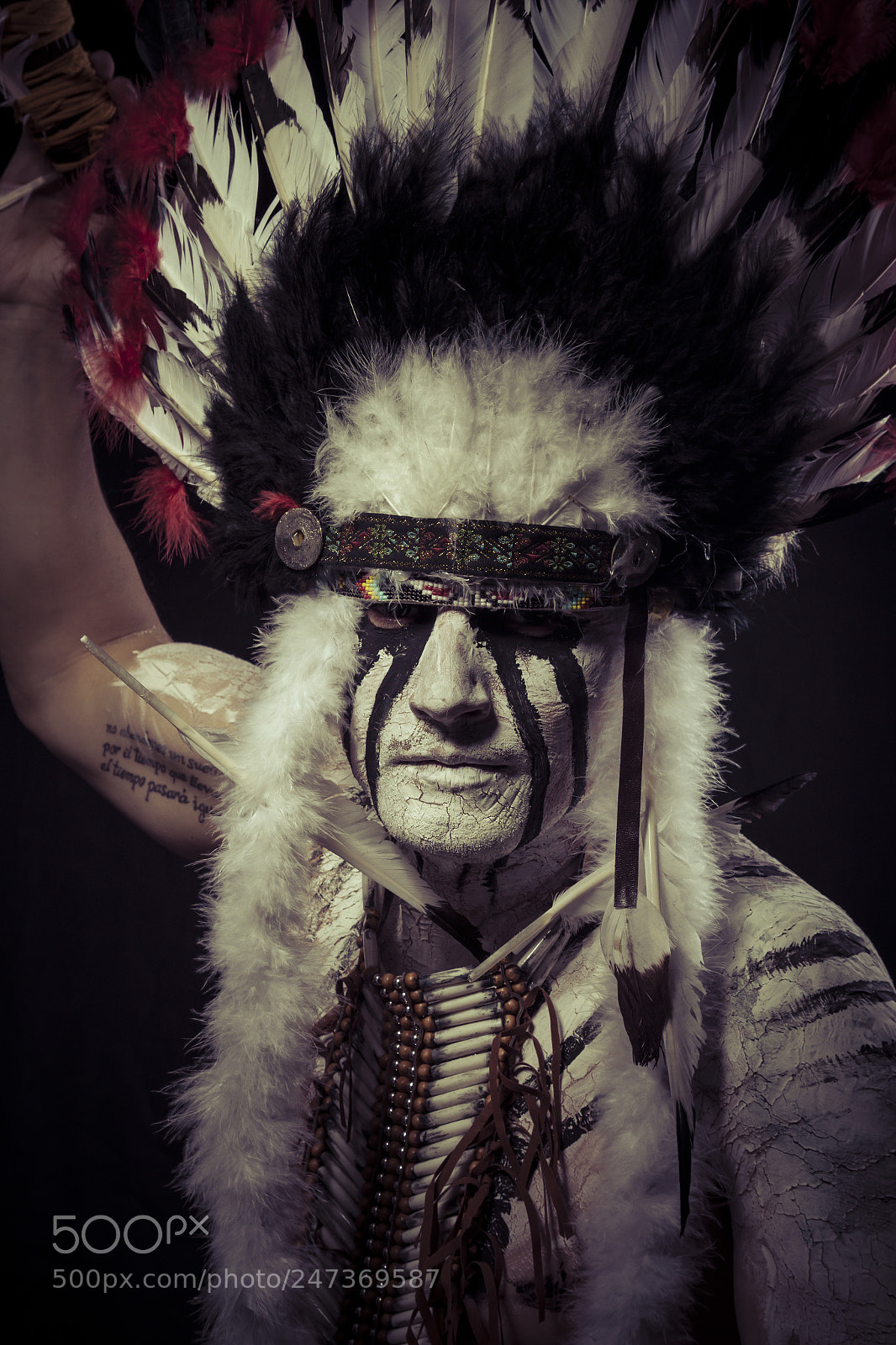 Canon EOS 7D sample photo. American indian chief with photography