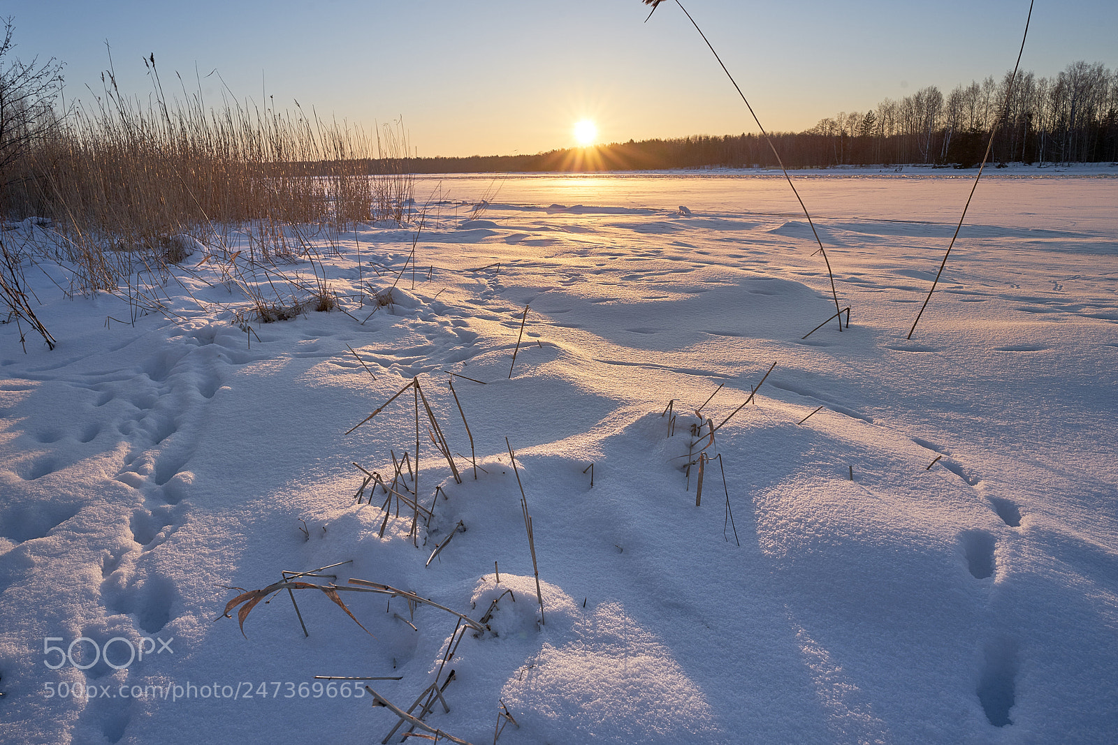 Sony a7 II sample photo. Dsc08219 3.jpg photography