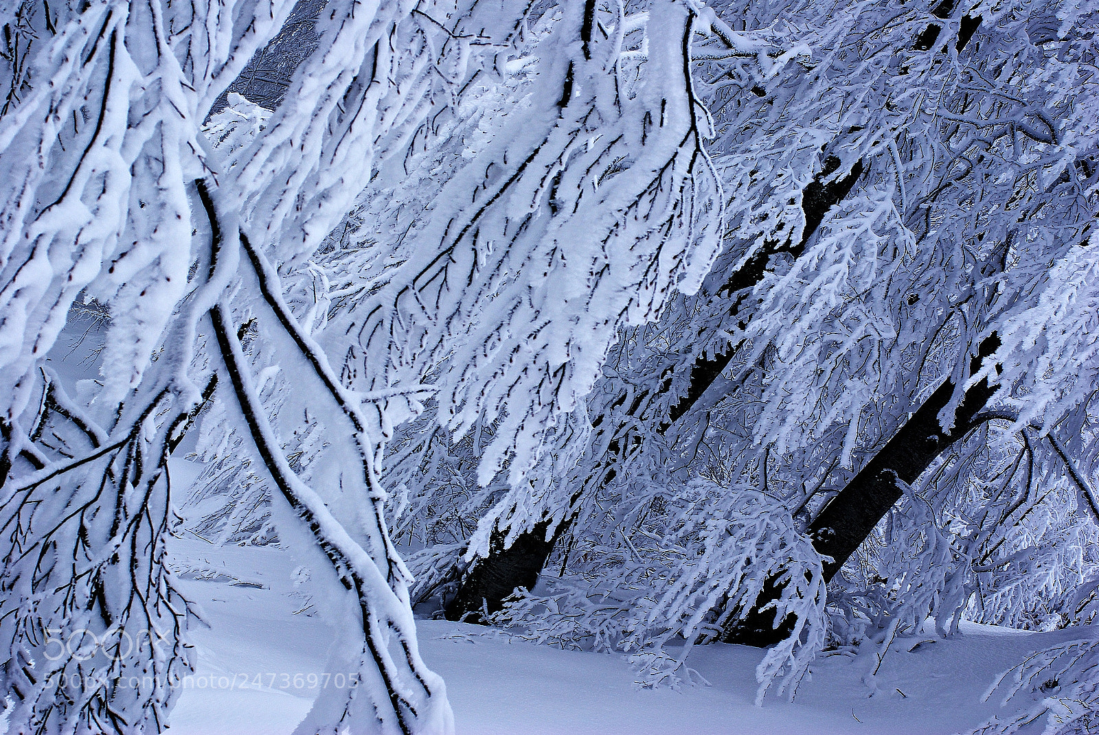 Pentax K10D sample photo. Kartepe, sakarya, turkey photography