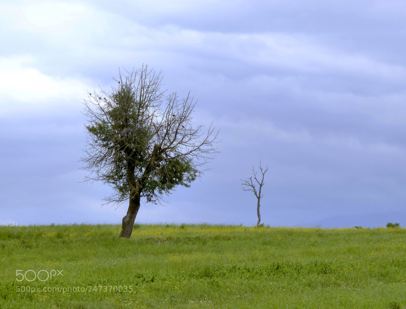Panasonic Lumix DMC-FZ28 sample photo. Hayat ve l m photography