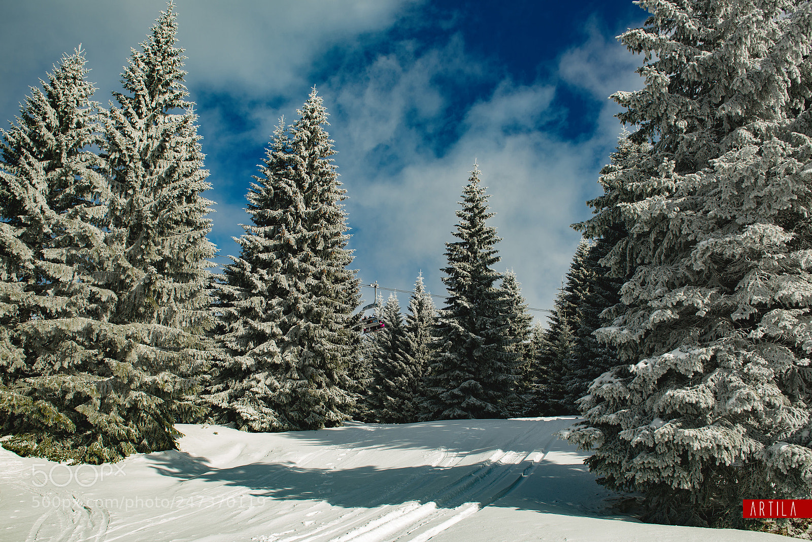 Nikon D610 sample photo. Kopaonik photography
