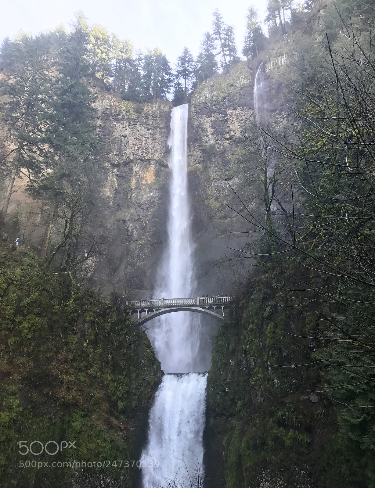 Apple iPhone 7 Plus sample photo. Multnomah falls, or photography